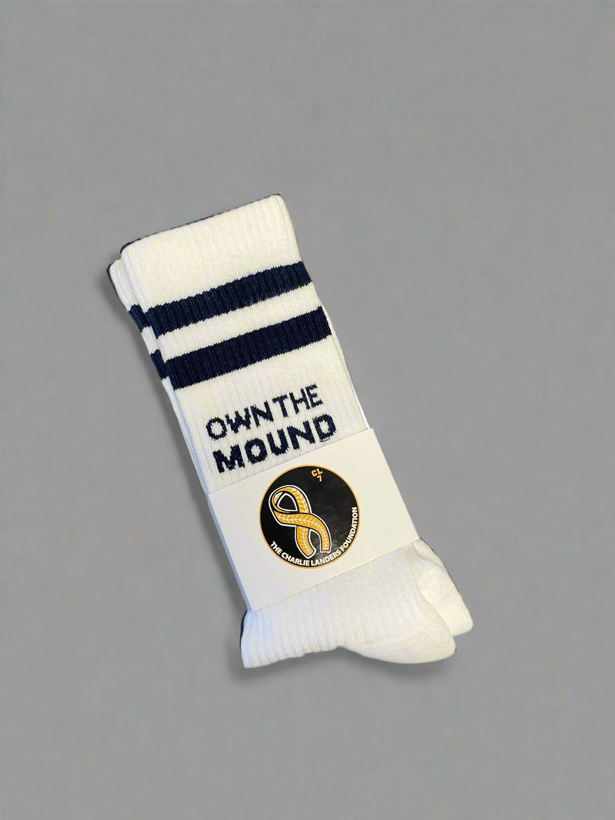 Charlie Landers Custom Socks- Own The Day